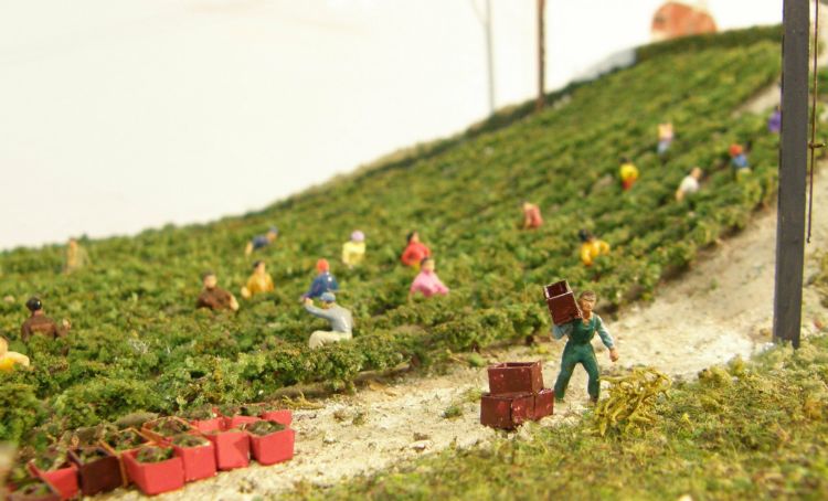 Fabrication des vignes